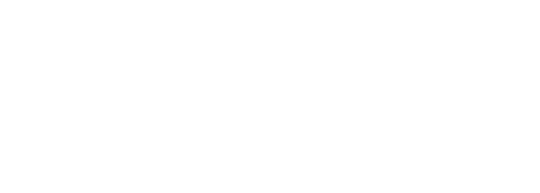 Heal with Aniqa